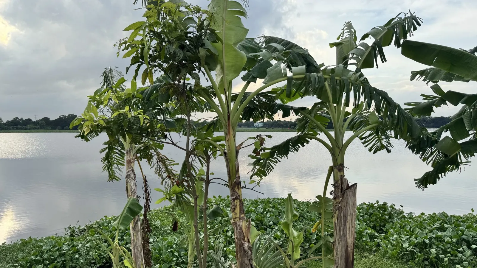 3,900 m² land plot in Huay Yai